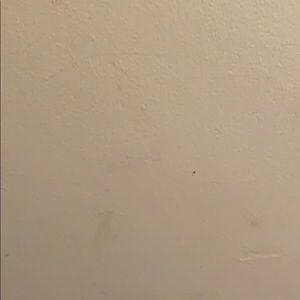 Meet your Posher, Rico